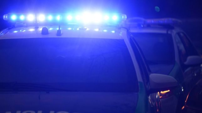 brutal robo en la plata: asaltaron a una mujer y la golpearon frente a su hija