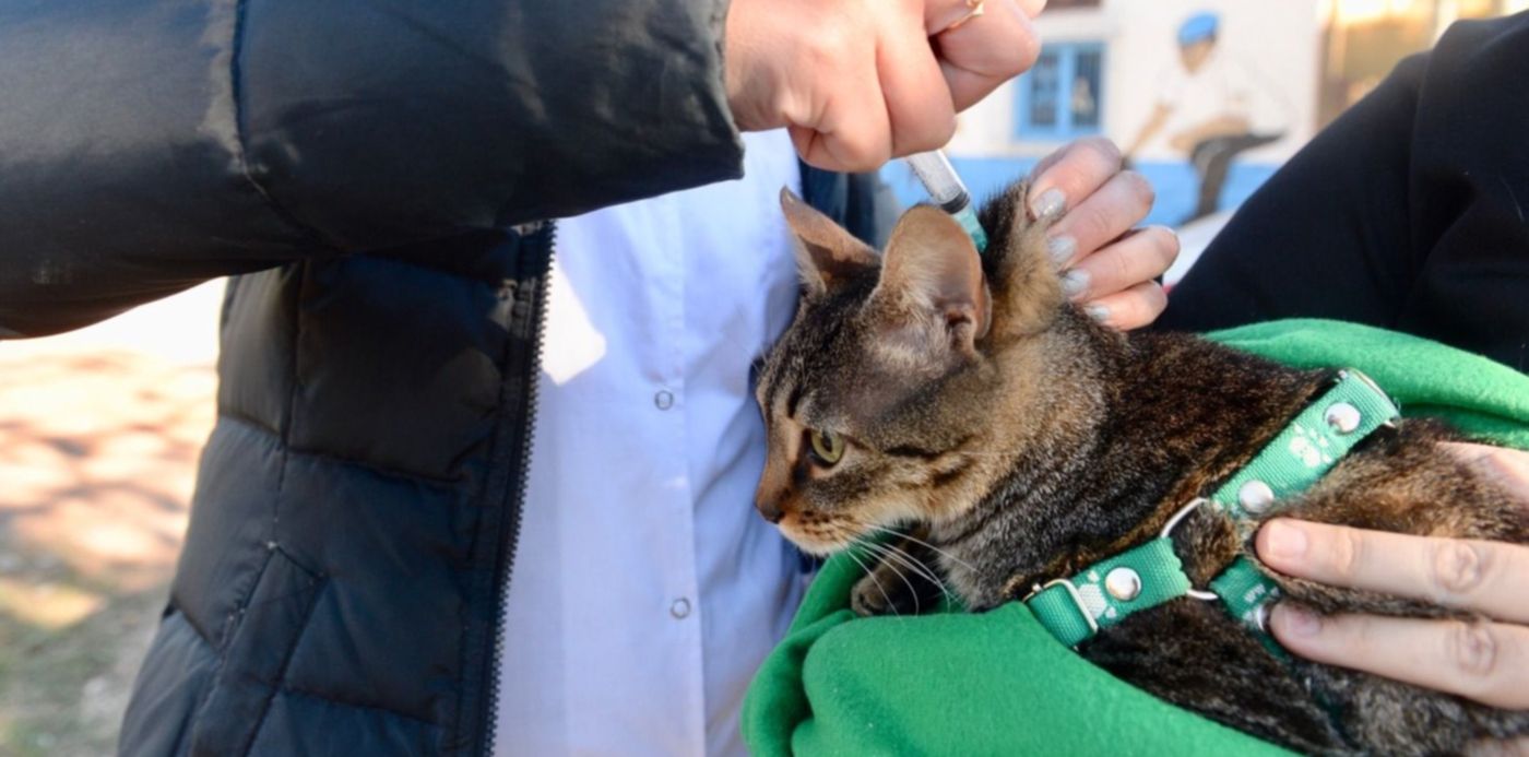 1560818210415.jpeg?x=7&y=188&width=1479&height=739&rotate=0&scaleX=1&scaleY=1&ow=1500&oh=996&&cw=1920&ch=950