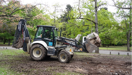 Renuevan el Paseo del Bosque de La Plata con nuevas obras de iluminación, senderos y mobiliario