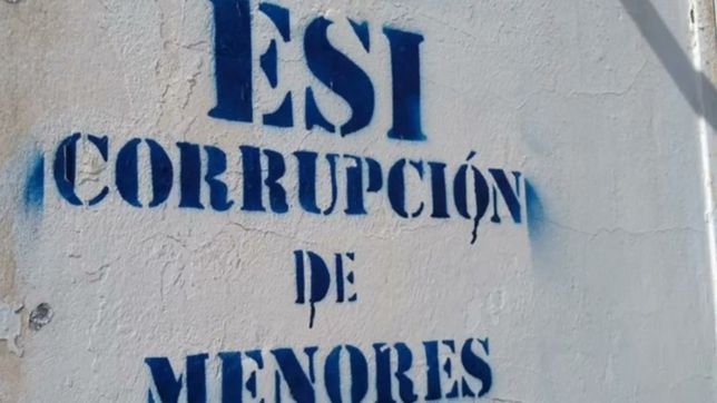 tras las pintadas en escuelas, haran una movilizacion en la plata para defender la ley esi