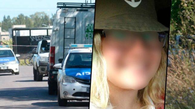 todo lo que se sabe de la desaparicion de la nena de la plata que puso en alerta al pais