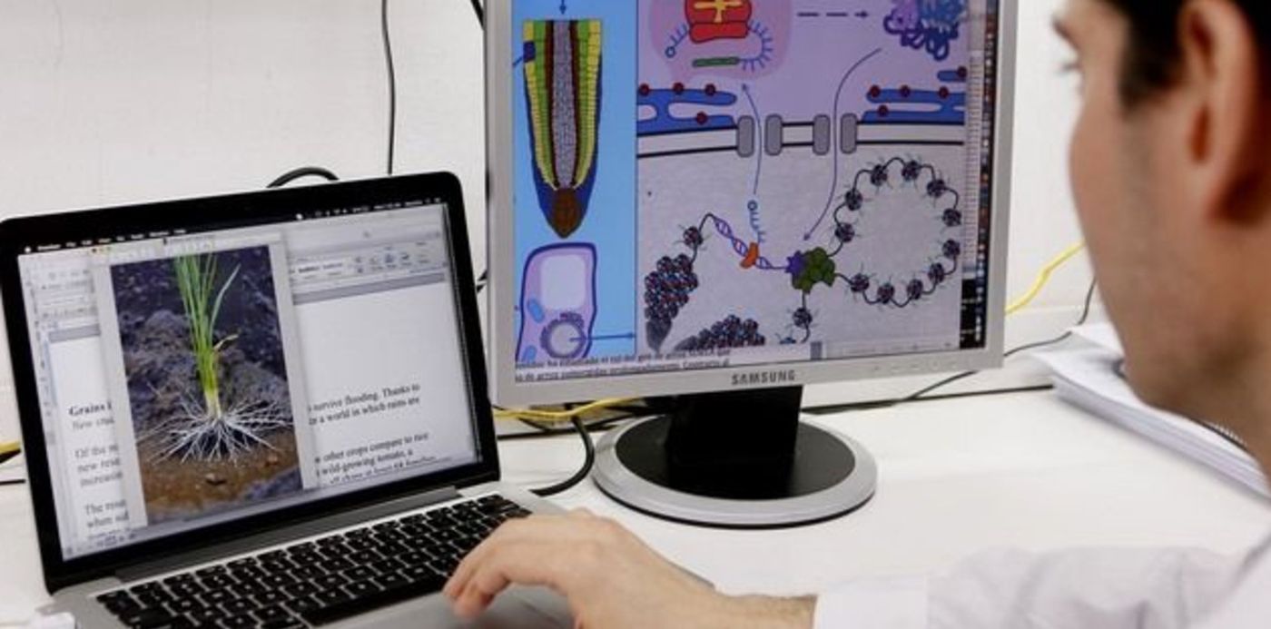 1569003459390.jpg?rotate=0&scaleX=1&x=7&width=629&scaleY=1&ow=640&oh=427&y=73&height=315&&cw=1920&ch=950