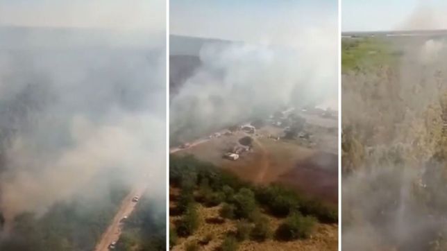 video: el drone de los impactantes incendios en el parque pereyra iraola
