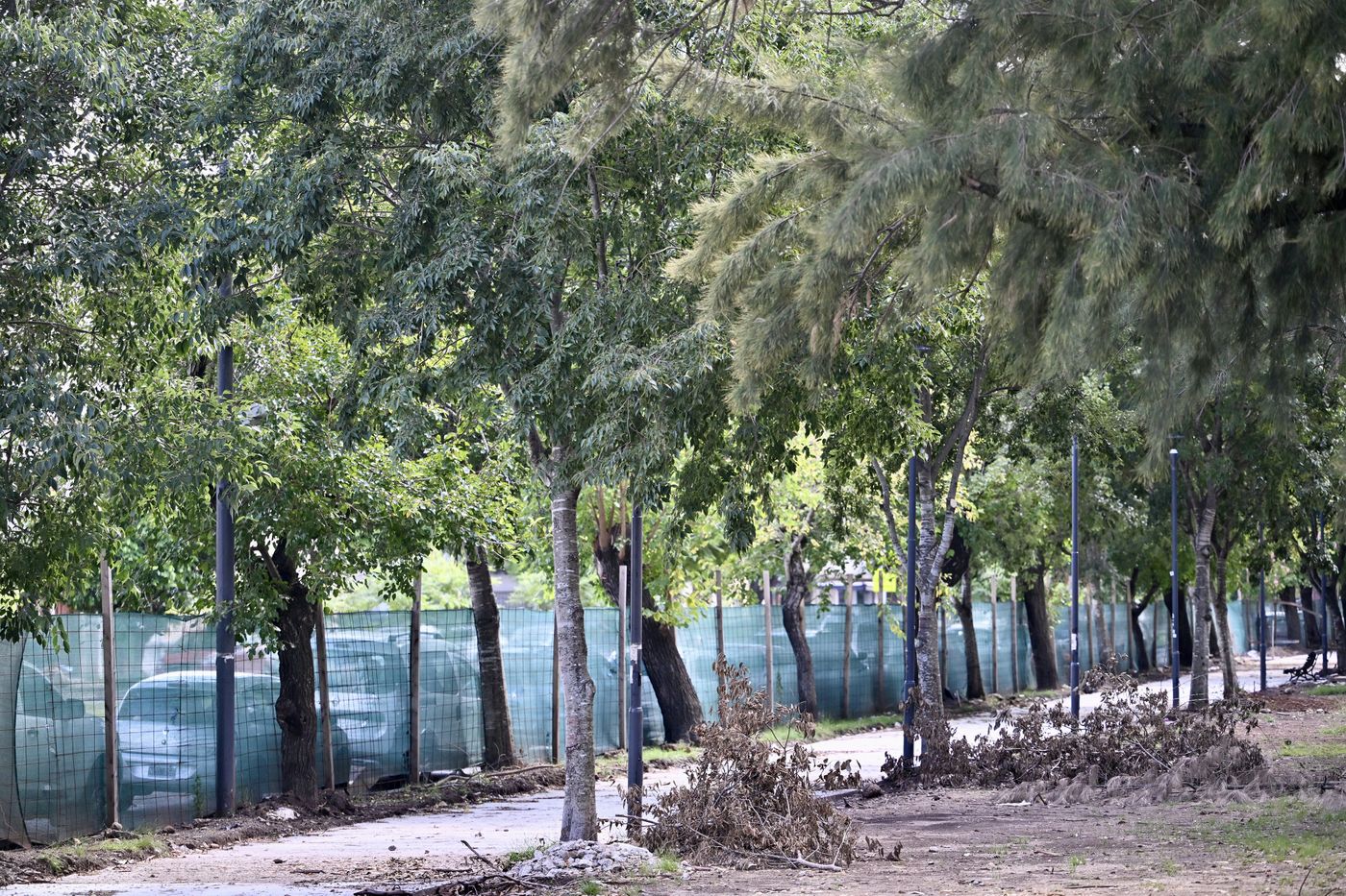 Obras en Parque Saavedra (4)