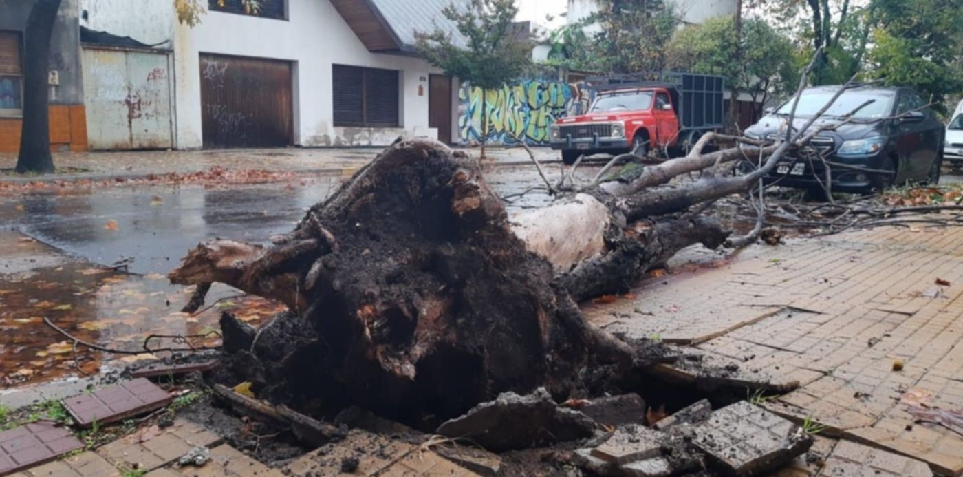 1588079636903.jpeg?oh=960&y=176&height=634&rotate=0&scaleY=1&ow=1280&x=6&width=1267&scaleX=1&&cw=1920&ch=950