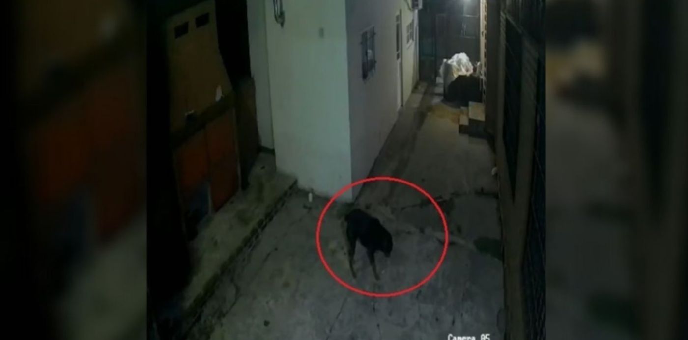 1612527579573.jpg?x=47&y=12&width=1248&height=624&rotate=0&scaleX=1&scaleY=1&ow=1350&oh=650&&cw=1920&ch=950