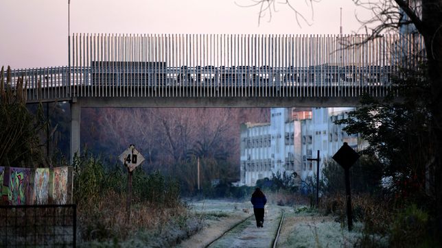 heladas, rafagas de viento y lluvias: ¿cuando llega la ola de frio a la plata?