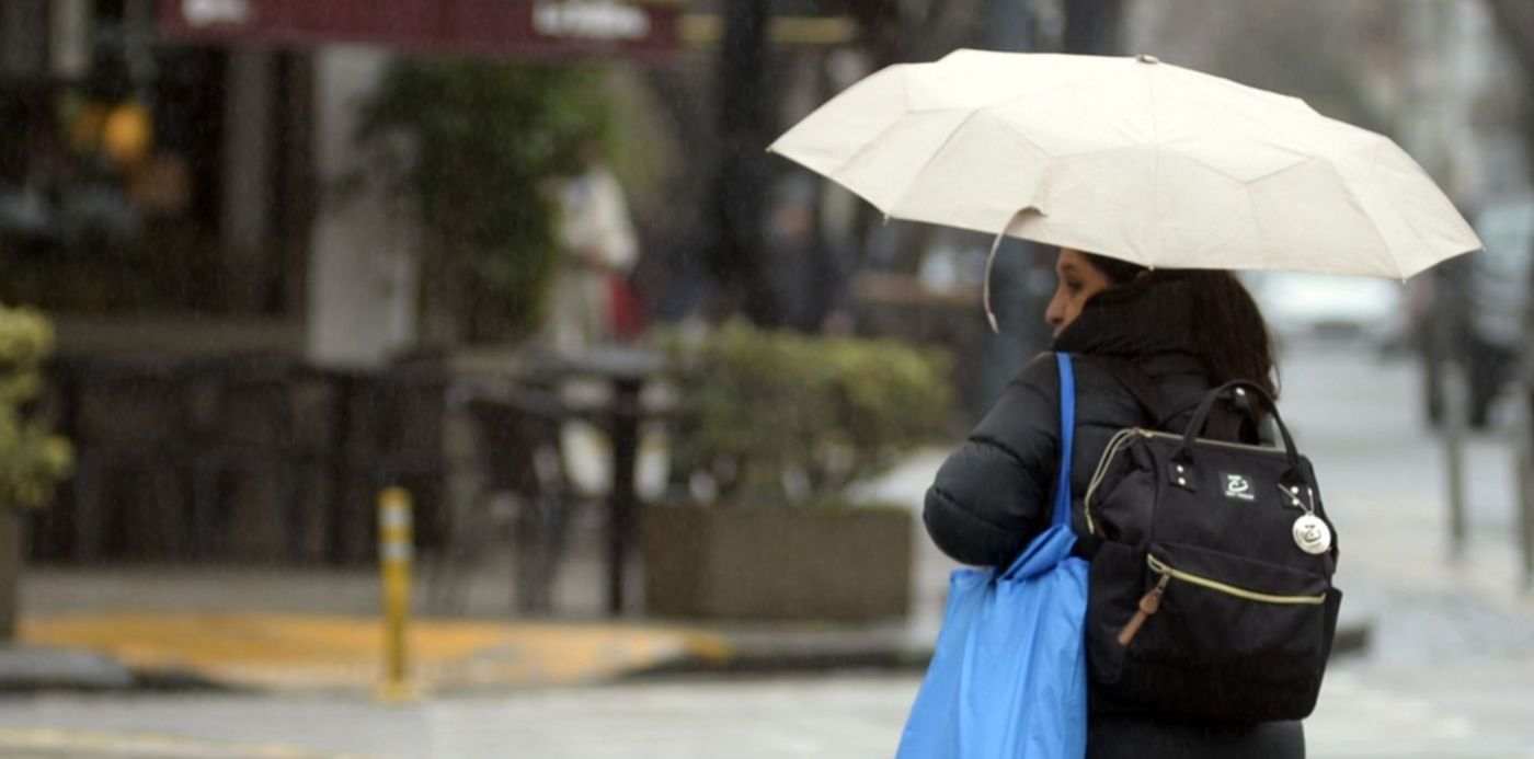 1557052596706.jpg?rotate=0&scaleX=1&ow=1500&oh=1048&y=0&height=745&scaleY=1&x=7&width=1490&&cw=1920&ch=950