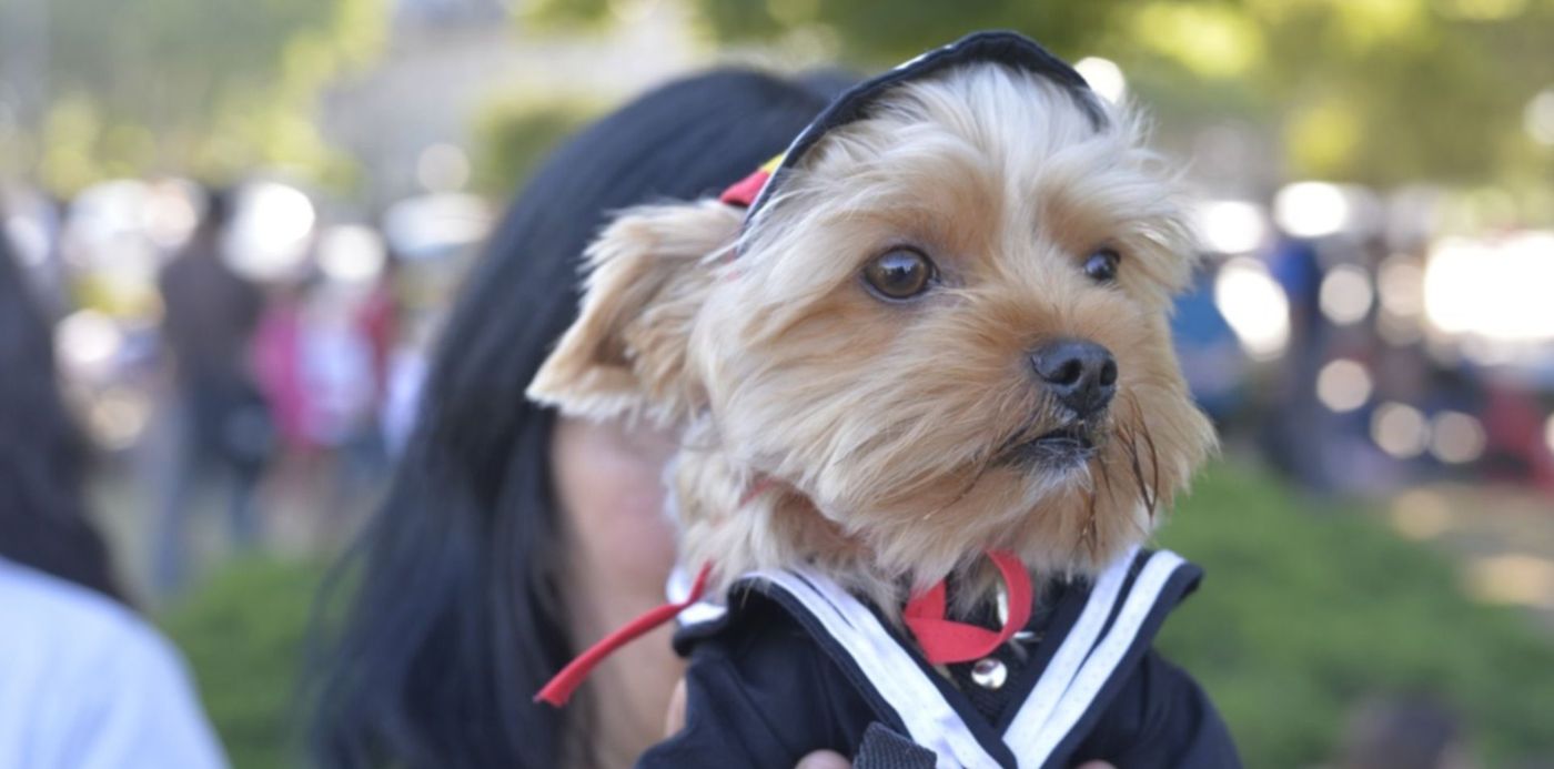 1544312357104.jpg?ow=1500&oh=998&x=4&y=132&width=1489&rotate=0&scaleX=1&scaleY=1&height=745&&cw=1920&ch=950