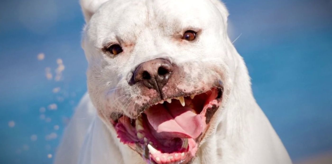 1576163680335.jpg?x=10&y=44&width=1263&height=632&rotate=0&scaleX=1&scaleY=1&ow=1280&oh=720&&cw=1920&ch=950