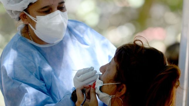 contagios, positividad y fallecidos: asi marcha la cuarta ola de covid-19 en la plata