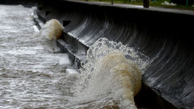 alerta en el rio de la plata: encontraron bacterias fecales