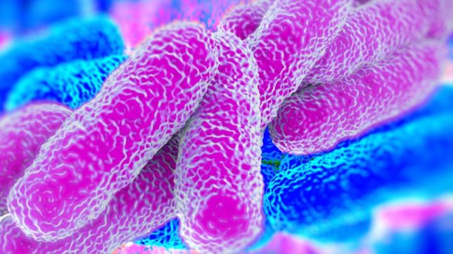 superbacterias, el nuevo riesgo que alarma a los expertos por la pandemia de covid-19