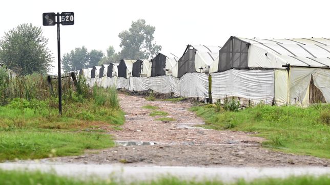cientificos  hallaron antibioticos veterinarios en aguas del cordon frutihorticola de la plata