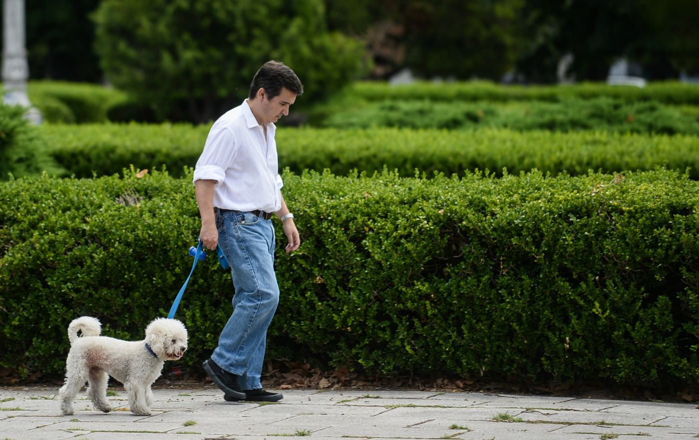 Los perros de pelaje corto pueden ser los más afectados