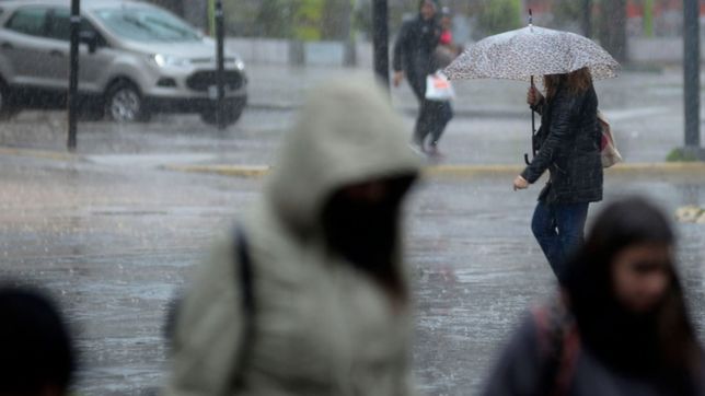 clima en la plata: viento, lluvias y tormentas: el fin de semana llega cargado de agua