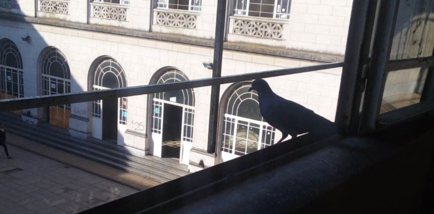 1574274062552.jpeg?&cw=1920&ch=950