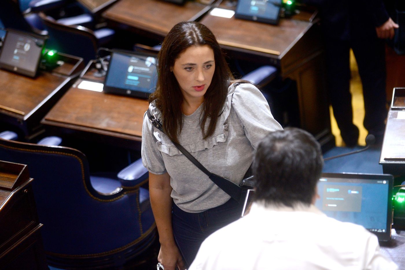 sesion diputados Julieta Quintero (2).JPG