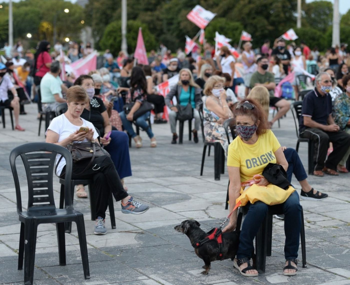 UCR Radicales Facundo Manes Maxi Abad