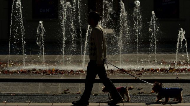 dia por dia, asi estara el clima en la plata durante toda la semana