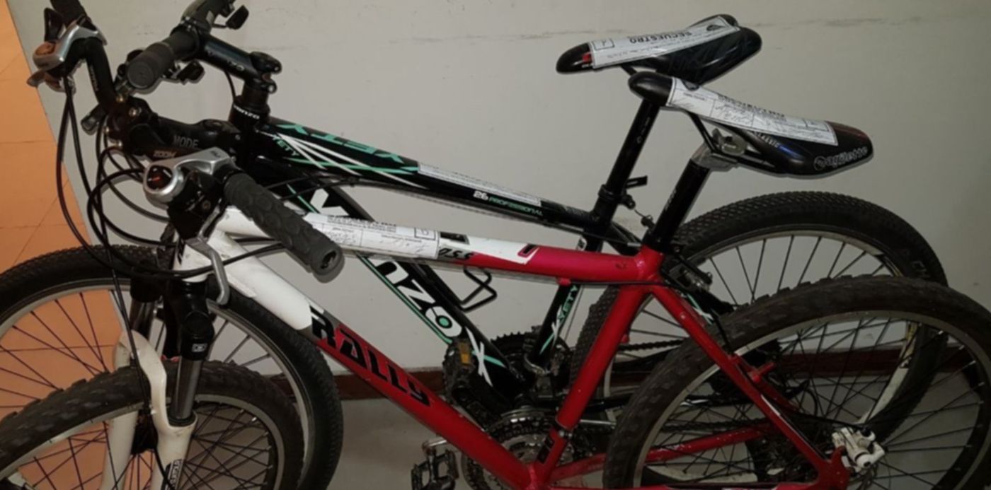 1546265258311.jpeg?y=74&height=718&rotate=0&ow=1280&oh=960&x= 83&width=1437&scaleX=1&scaleY=1&&cw=1920&ch=950