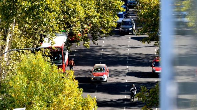 con temperatura en aumento y lluvias en el horizonte, asi va estar el clima en la plata