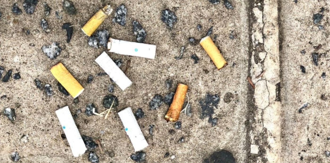 colillas de cigarrillos - colillas