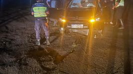 un platense embistio un caballo en ruta 11 en medio de un choque multiple un platense embistio un caballo en ruta 11 en medio de un choque multiple