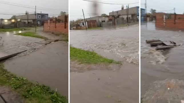 video: desbordo una parte del arroyo el gato a la altura de melchor romero