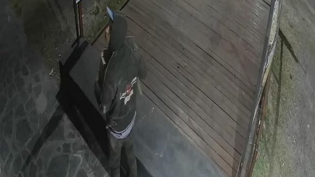 insolito: robaron reflectores de una pizzeria de la plata a metros de una sede policial