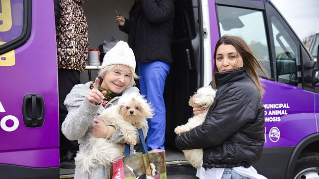 ¿como vacunar gratis a perros y gatos en pleno centro de la plata?