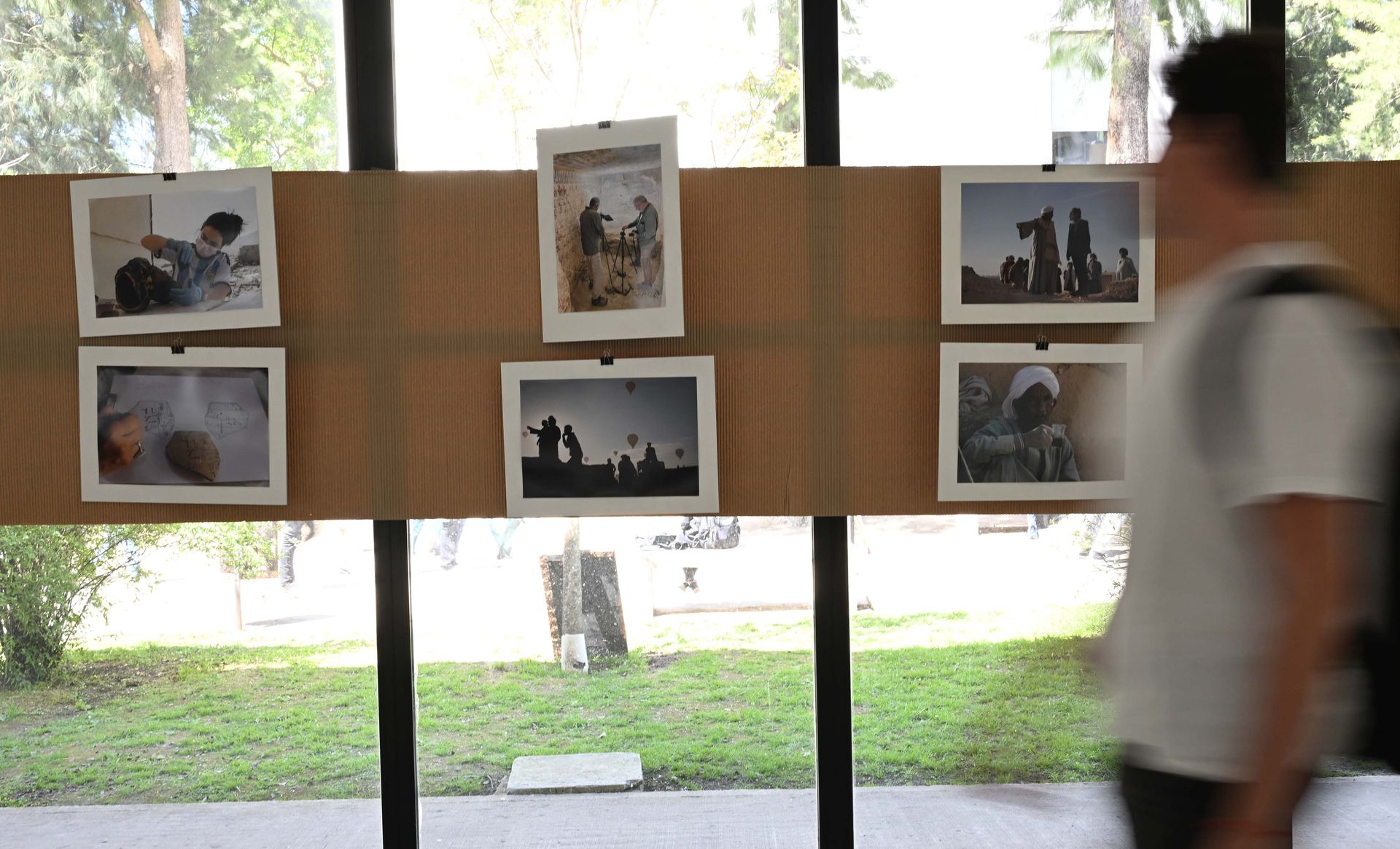 amenmose proyecto egipto unlp 04