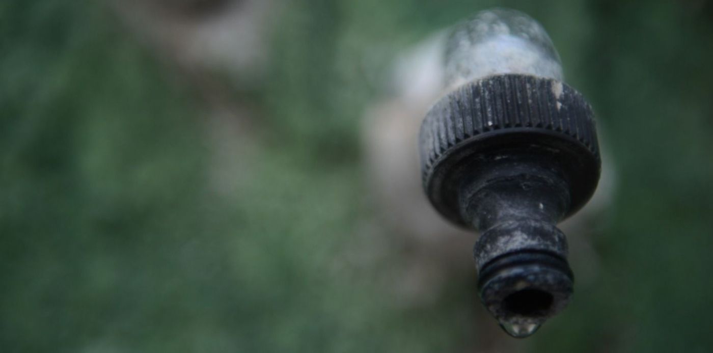 1580776083484.jpg?x= 3&y=171&width=1492&height=747&rotate=0&scaleX=1&scaleY=1&ow=1500&oh=996&&cw=1920&ch=950