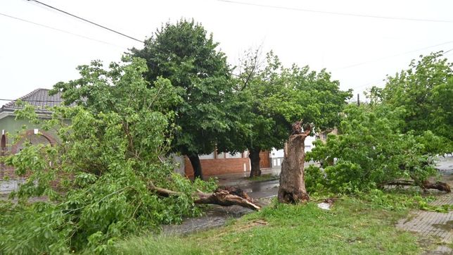 la ucr la plata abre sus puertas y ayuda a vecinos afectados por el temporal