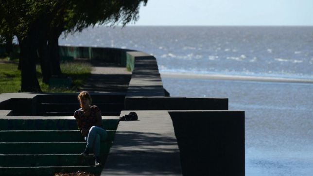 cianobacterias en el rio de la plata a la altura de puerto madero: ¿llegan a punta lara?