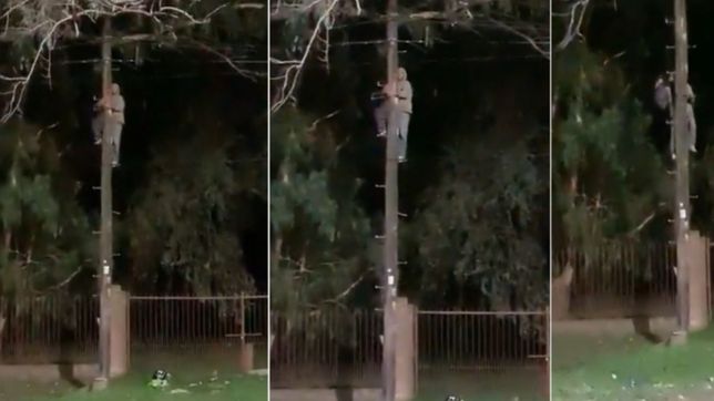 video: lo descubrieron robando cables en la plata, lo filmaron y llamaron a la policia
