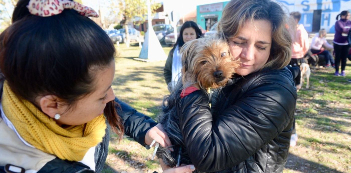 1560818209030.jpeg?scaleX=1&scaleY=1&ow=1500&oh=996&y=131&width=1486&height=743&x=7&rotate=0&&cw=1920&ch=950