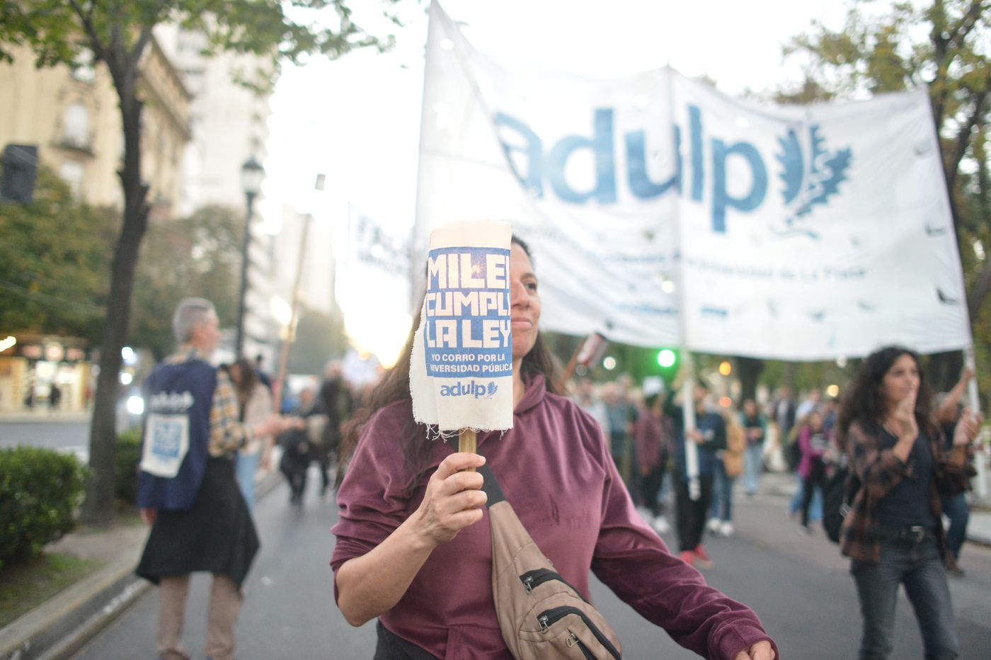 Marcha de Antorchas ADULP ATULP FULP (3)