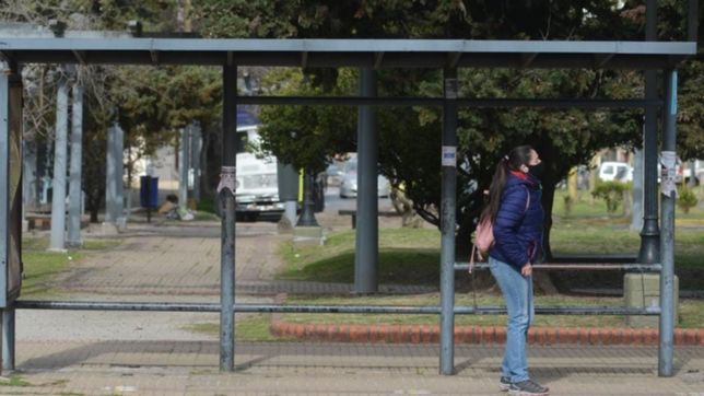 paro de micros para el amba: ¿que pasara en la plata?