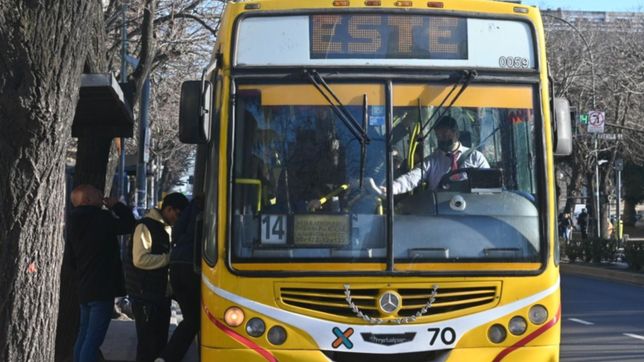 arranca el paro de micros impulsado por los choferes: ¿que va a pasar en la plata?