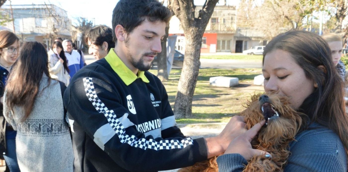 1560818198831.jpeg?ow=1500&y=45&height=745&rotate=0&scaleY=1&oh=1015&x=5&width=1491&scaleX=1&&cw=1920&ch=950