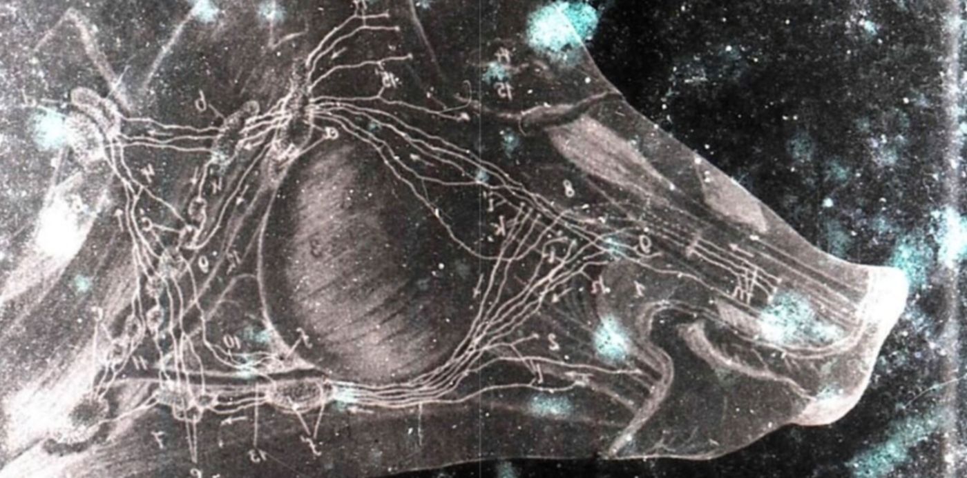 1629829578072.jpg?x=9&y=41&width=1261&height=630&rotate=0&scaleX=1&scaleY=1&ow=1280&oh=678&&cw=1920&ch=950