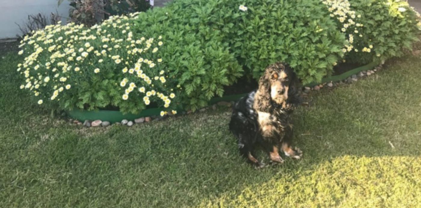 1531358122824.jpeg?x=3&width=1004&ow=1024&y=266&height=502&rotate=0&scaleX=1&scaleY=1&oh=768&&cw=1920&ch=950