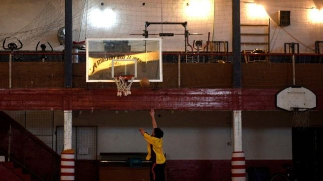 elaboran un protocolo para instituciones culturales y deportivas de la plata