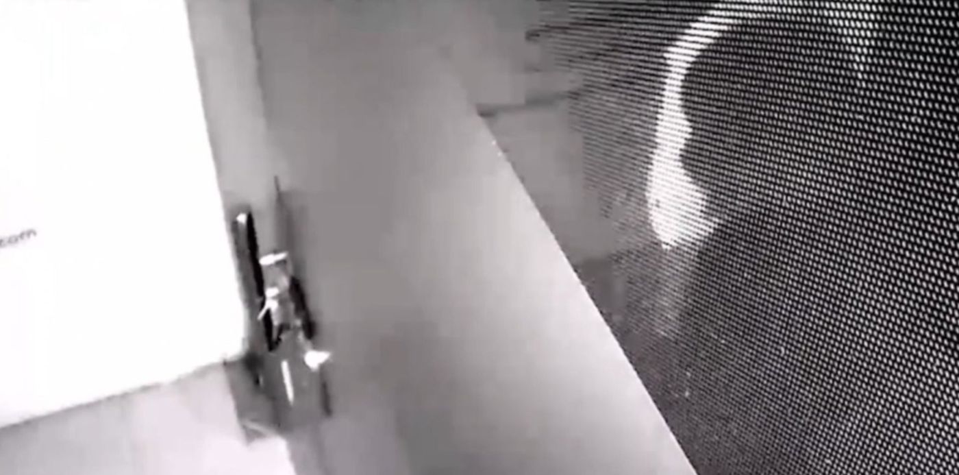 1604330787316.jpg?x=6&y=65&width=1487&height=743&rotate=0&scaleX=1&scaleY=1&ow=1500&oh=850&&cw=1920&ch=950