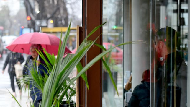tras el anuncio de lluvias en la plata, asi estara el clima durante toda la semana en la ciudad