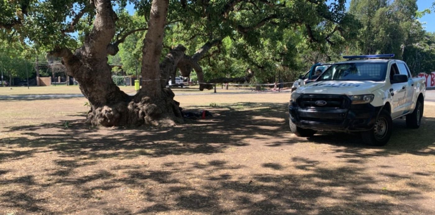 1673618369031.jpeg?x=3&y=0&width=1494&height=747&rotate=0&scaleX=1&scaleY=1&ow=1500&oh=843&&cw=1920&ch=950