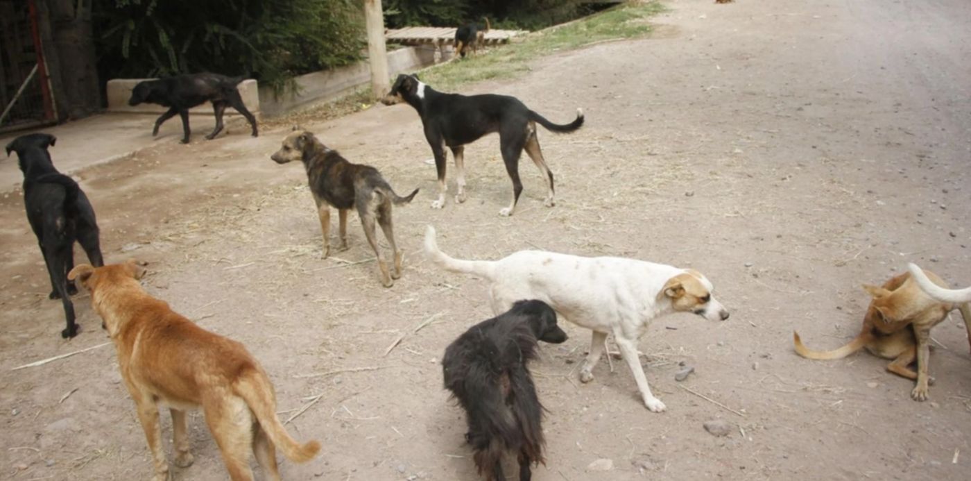 1681126139876.jpg?x=11&y=331&width=1478&height=738&rotate=0&scaleX=1&scaleY=1&ow=1500&oh=1126&&cw=1920&ch=950