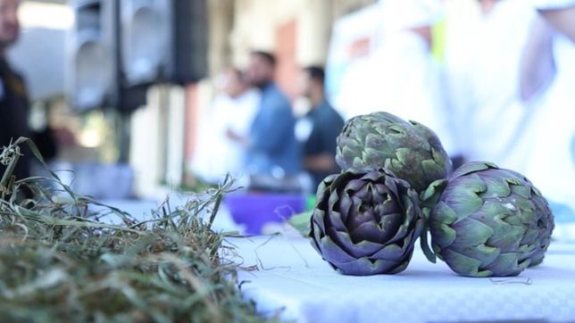 desde el sabado la plata celebra la tradicional fiesta del alcaucil de manera virtual