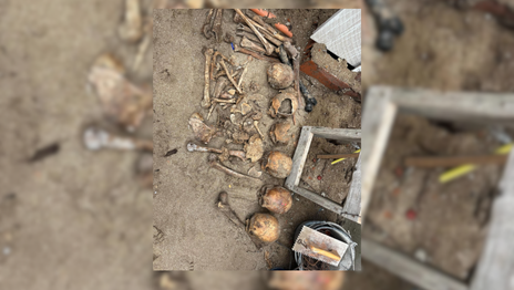 Hallan al menos una docena de cráneos humanos enterrados en una casa